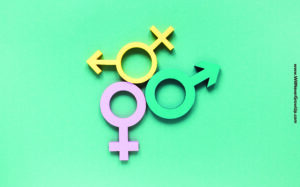 Gender Inequality and Diversity by Never Grow Up®